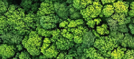 ST hovedkontor i Tarm